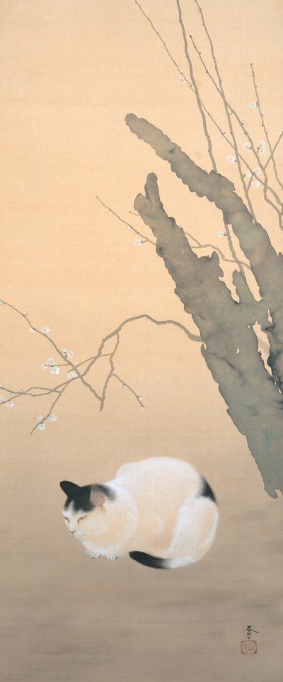Cat and Plum Blossoms by Hishida shunso